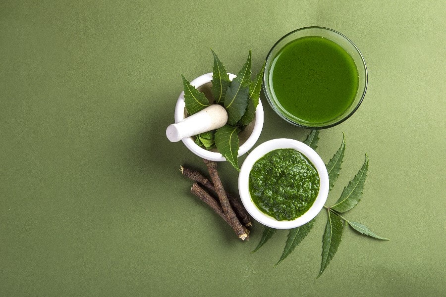 Fresh green herbs and ingredients used in Kerala cooking at Herb Restaurant